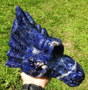 Dragon Crystal Skull Extra Large - Sodalite 10 lb 6.8 oz