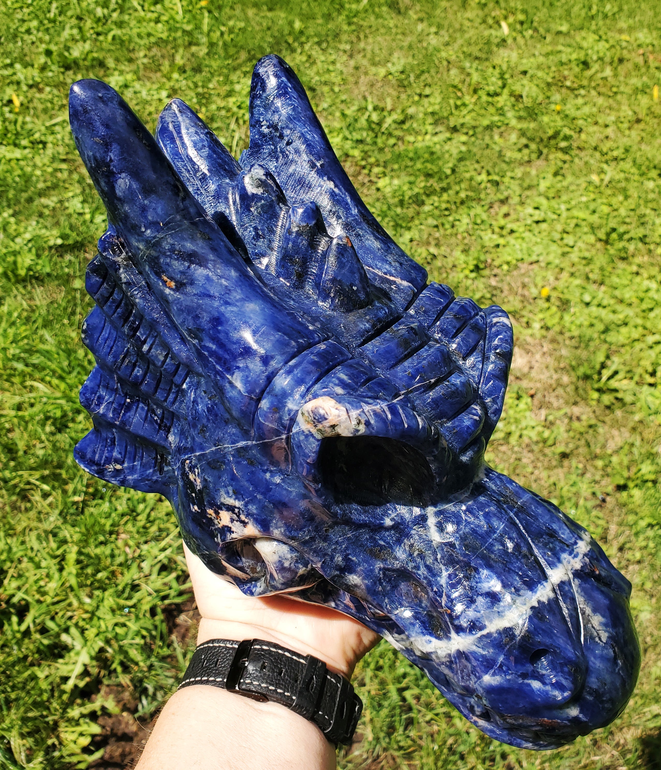 Dragon Crystal Skull Extra Large - Sodalite 10 lb 6.8 oz