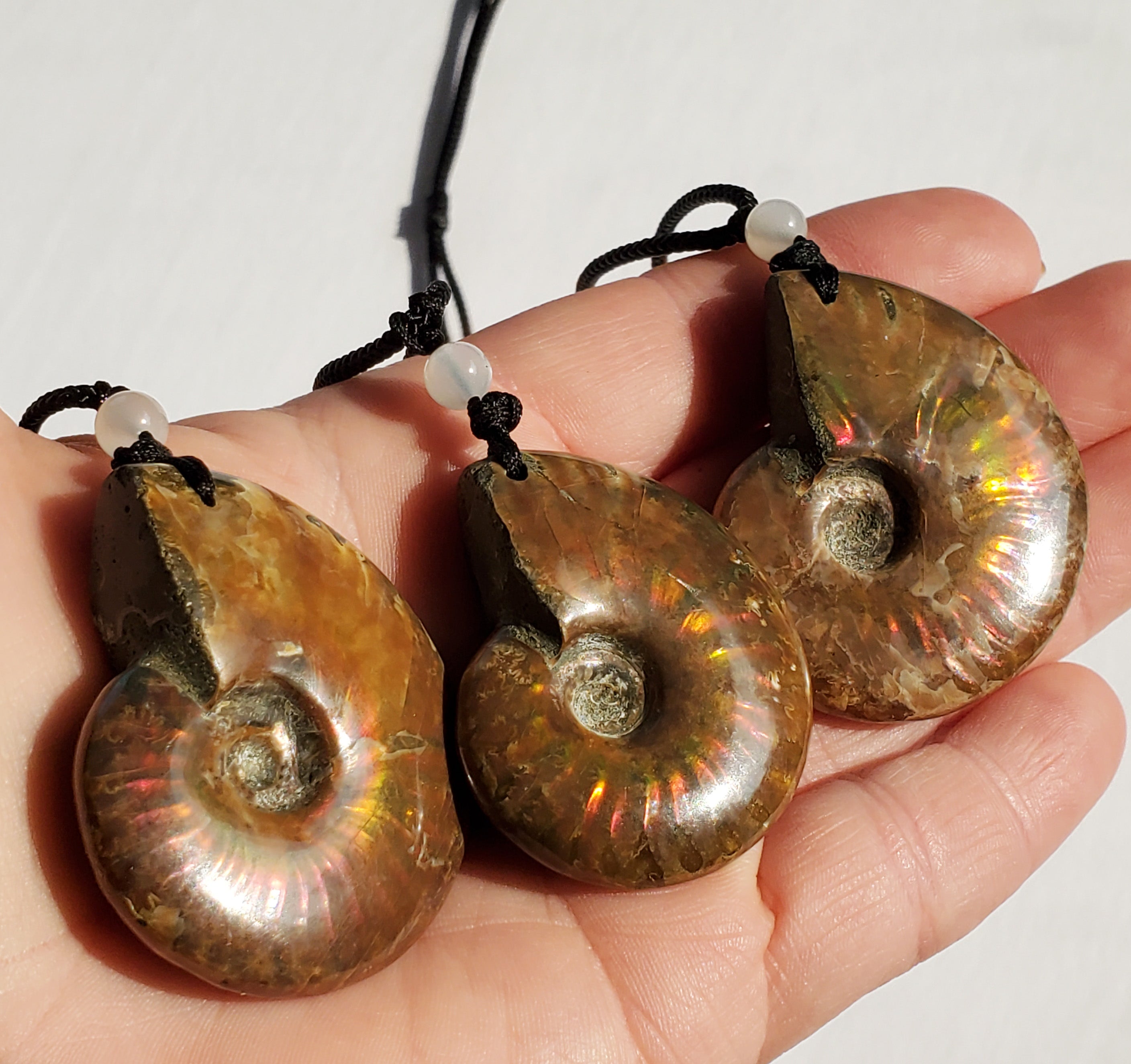 Ammolite Fossil Necklace flashes of red and orange - adjustable
