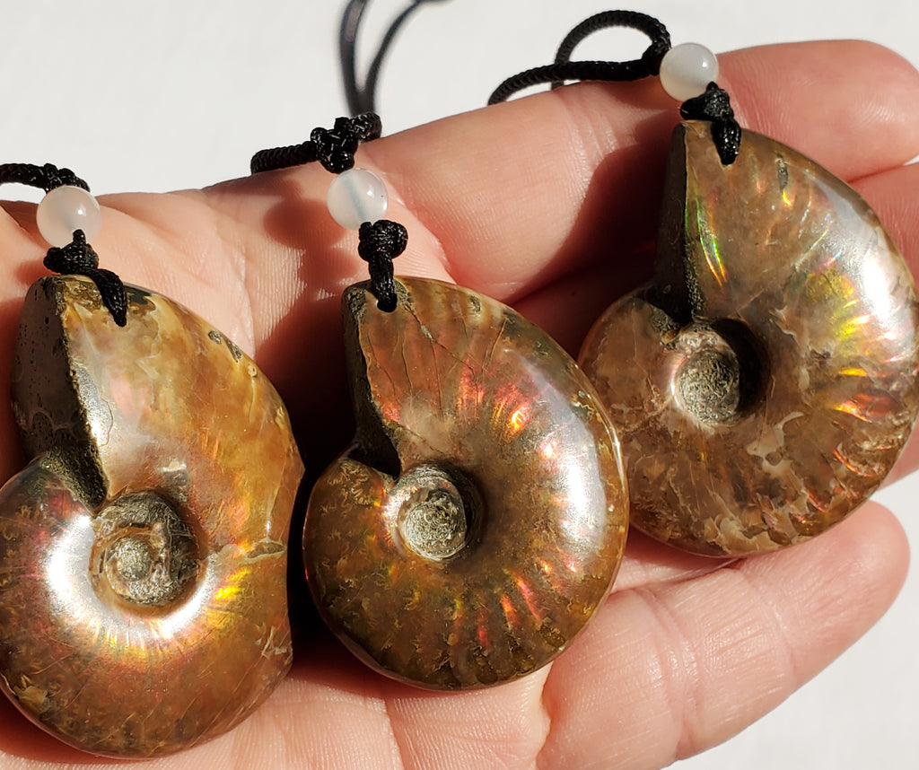 Ammonite Fossil Necklace flashes of red and orange - adjustable