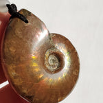 Ammonite Fossil Necklace flashes of red and orange - adjustable