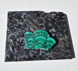 Arfvedsonite plate with a malachite slice