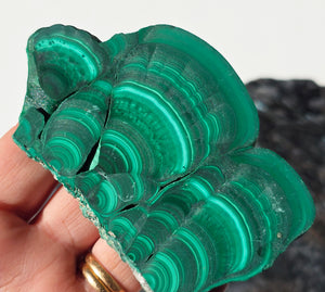 Arfvedsonite plate with a malachite slice